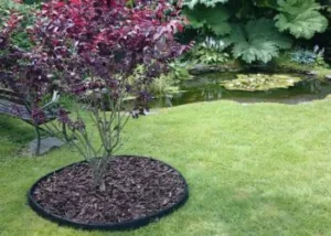 Best Garden Edging