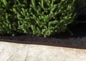 Flower-filled garden bed framed by Enviro Blocks